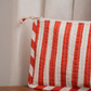 Rustic Red Striped Print FRAME POUCH